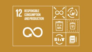 Das Icon für das Sustainable Development Goal Nummer 12 der UN symbolisiert die Ideen hinter dem Konzept der Kreislaufwirtschaft. Grafik: UN